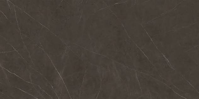 Liem Dark Nature 59'' x 126'' (12MM) A - SALE
