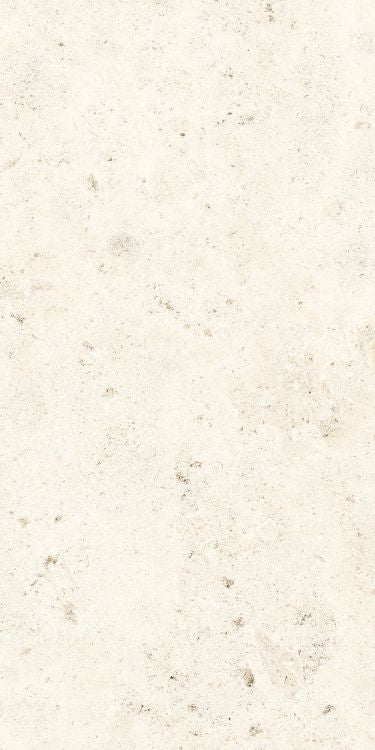 Lightstone 03 Shell Grip 24'' x 48''