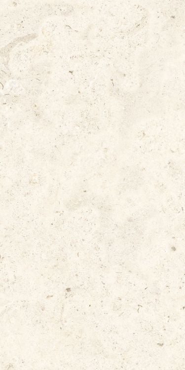 Lightstone 03 Shell Grip 24'' x 48''
