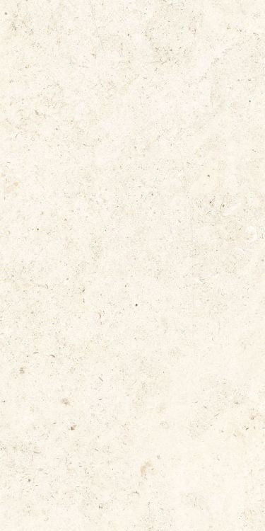 Lightstone 03 Shell Grip 24'' x 48''