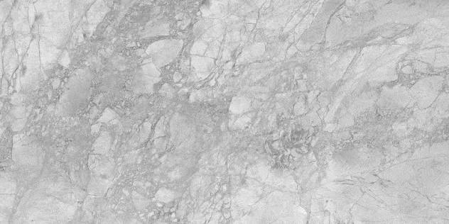 Porto Grey Polished 63'' x 126'' (12MM) - SALE