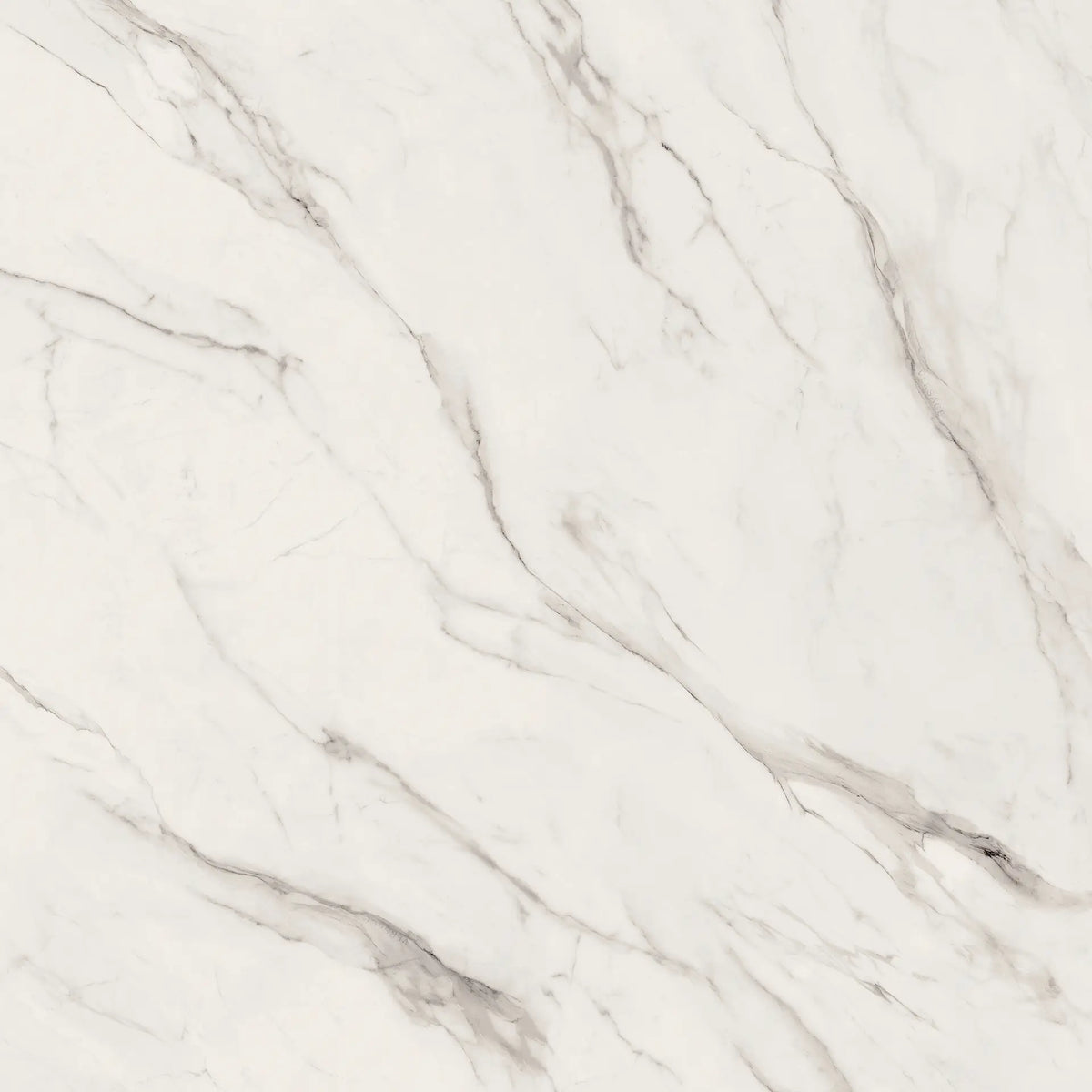 STATUARIO WHITE - VERSACE CERAMICS