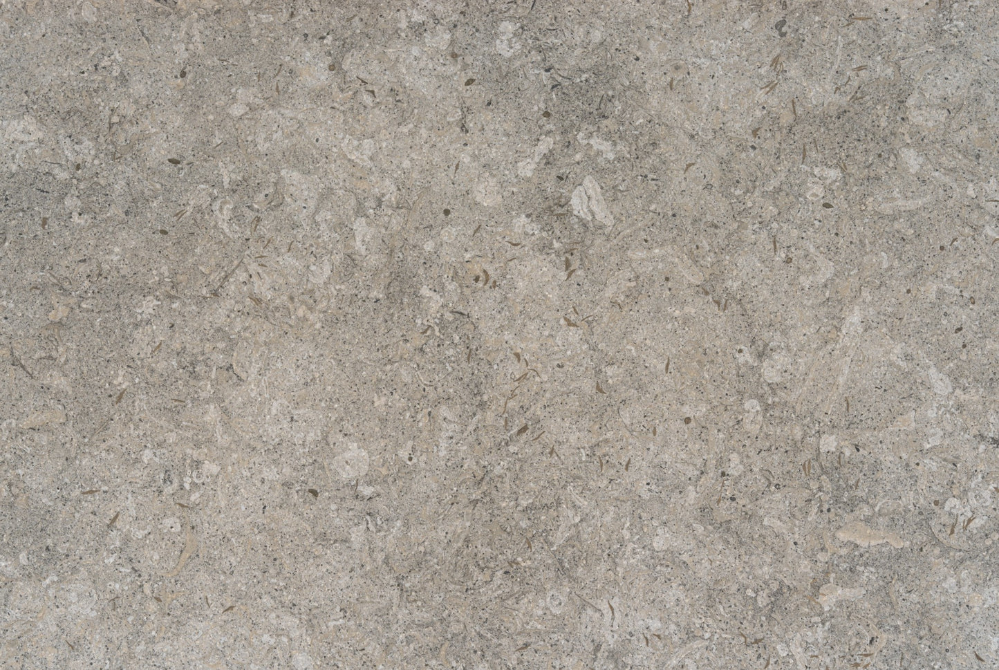 Grigio Dekton - Pietra kode - (ON SPECIAL - PLEASE CALL US)