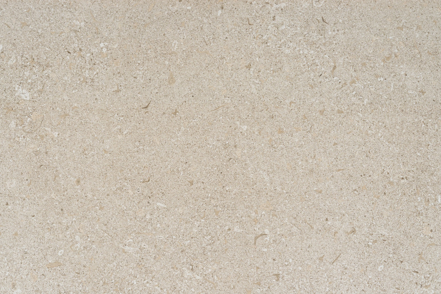 Avorio Dekton - Pietra kode - (ON SPECIAL - PLEASE CALL US)