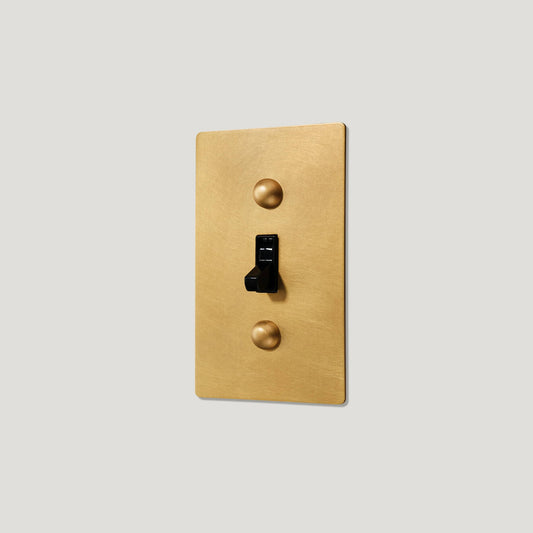 JASPER 1G TOGGLE SWITCH - HERITAGE BRASS