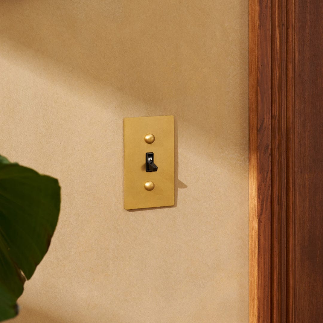 JASPER 1G TOGGLE SWITCH - HERITAGE BRASS