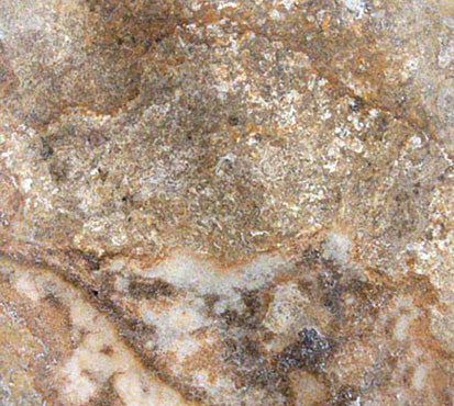 Tuscany Scabas - Travertine Collection
