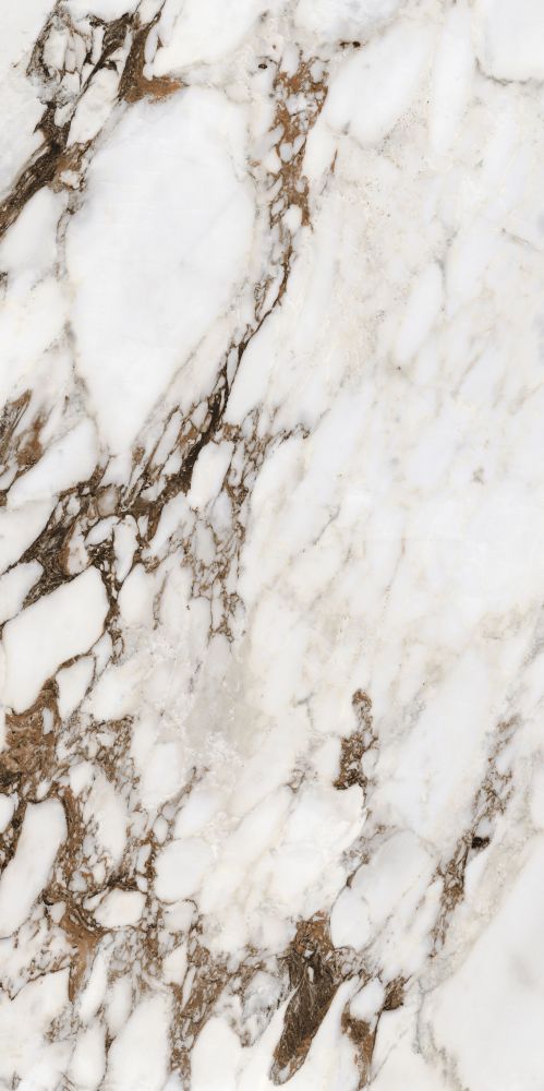 ELY Bijoux Breche Capraia Glossy 24x48