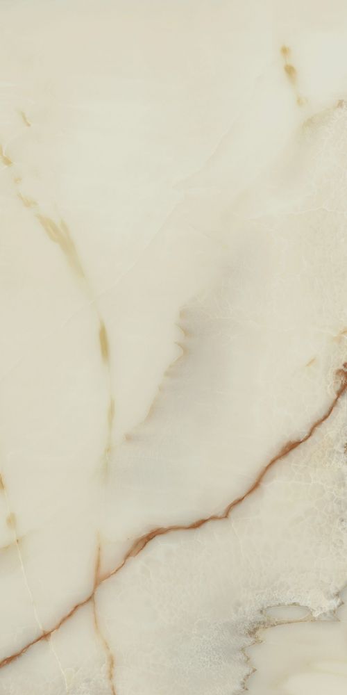 ELY Bijoux Onyx Blanche Glossy 24x48