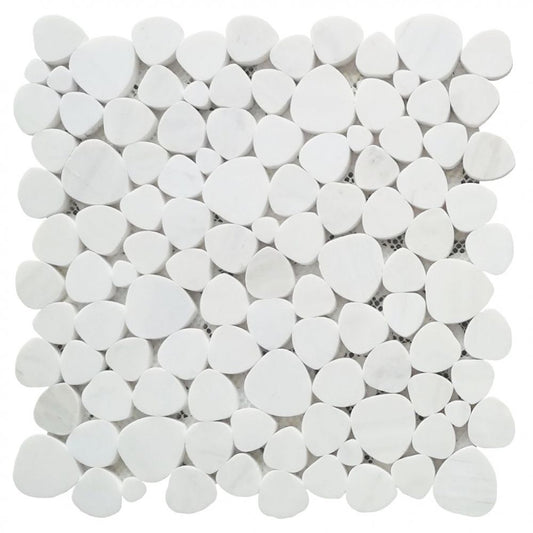 ELY Aphrodite Dolomite Honed 12x12 