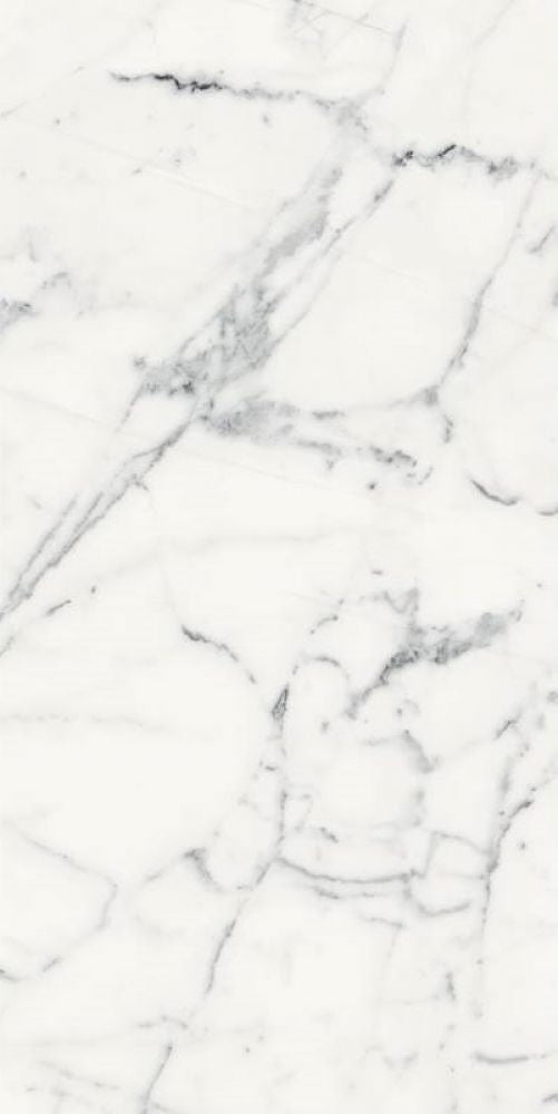 ELY Origines Blanc Matte 24x48 