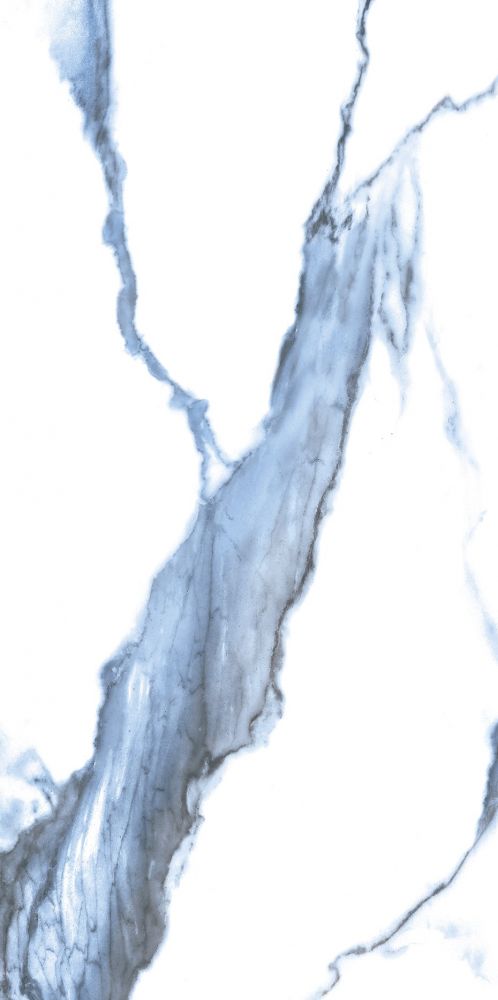 ELY Calacatta Blue Polished 12x24