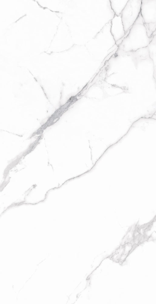 ELY Carrara Premium Polished 12x24