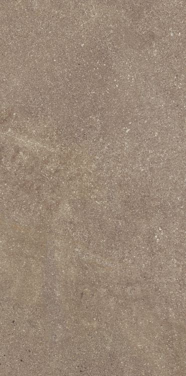 Elysium Madison Noce 12x24