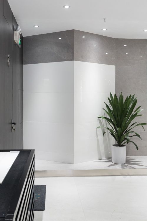 ELY Extra White Polished 18x36 (please call for special pricing)
