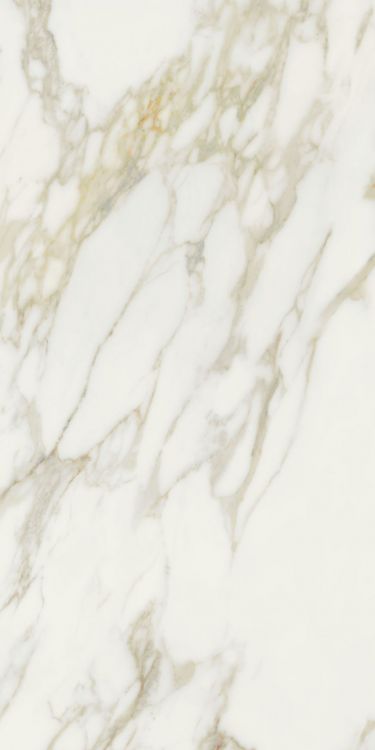 ELY Etoile Creme Glossy 24x48