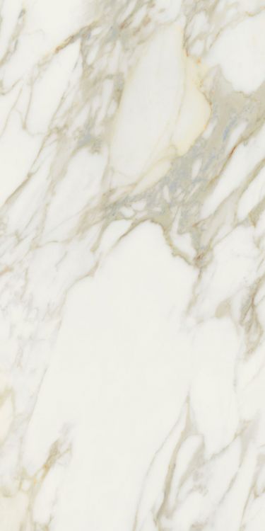 ELY Etoile Creme Glossy 24x48