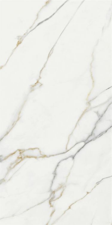 ELY Aston Gold Matte 24x48