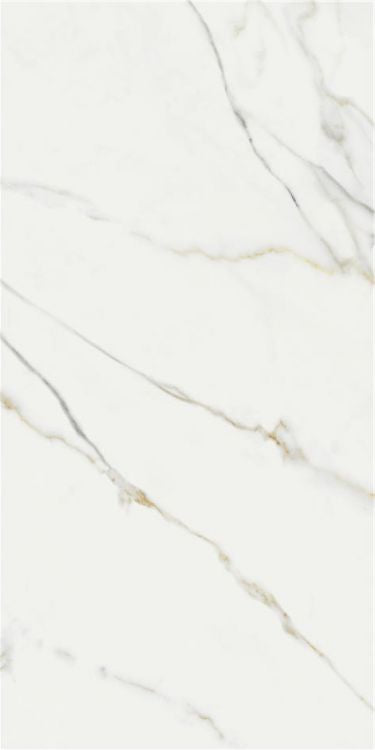 ELY Aston Gold Polished 24x48