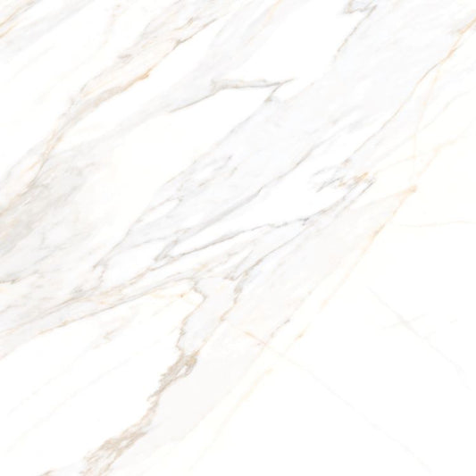 ELY Aurum Calacatta Polished 48x48