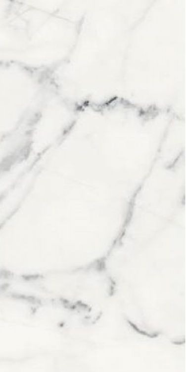 ELY Origines Blanc Glossy 12 x 24 (please call for special pricing)