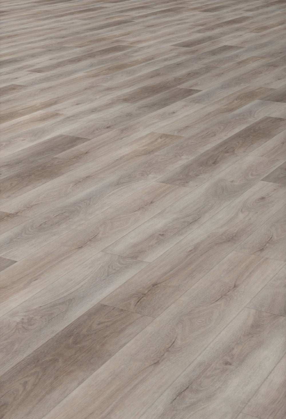 Eternity Sentinel Avant XPE SPC: Bishop