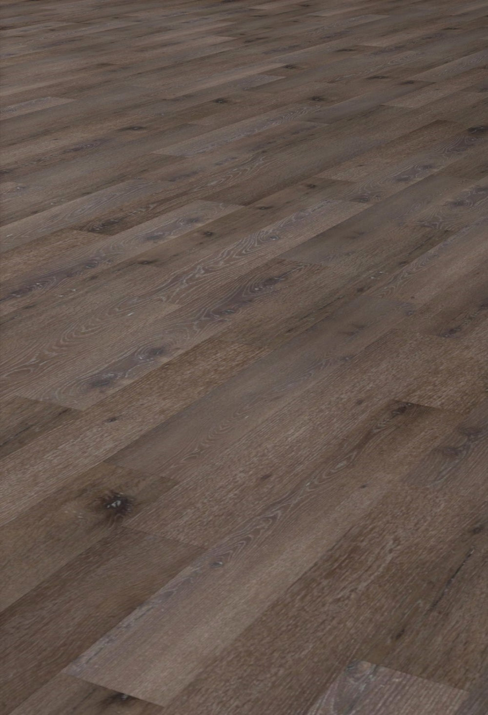 Eternity Valiant XPE SPC: Haven