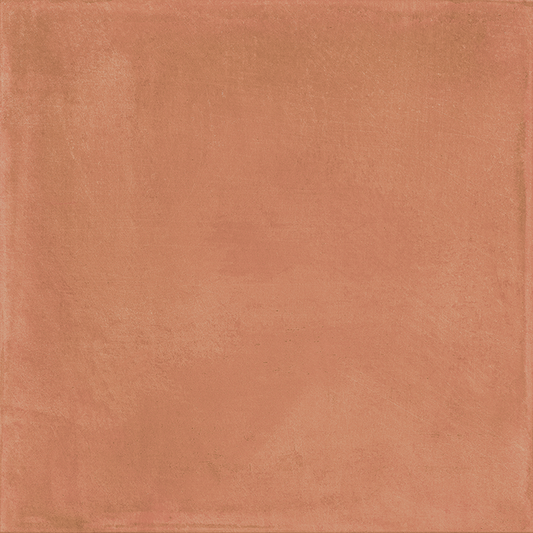 Roca Maiolica Coto 8x8