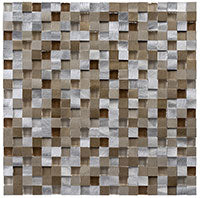 OS1004 Meteor Shower