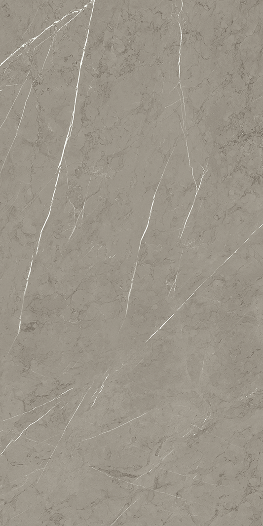 Roca Piasentina Smoke 24x48 