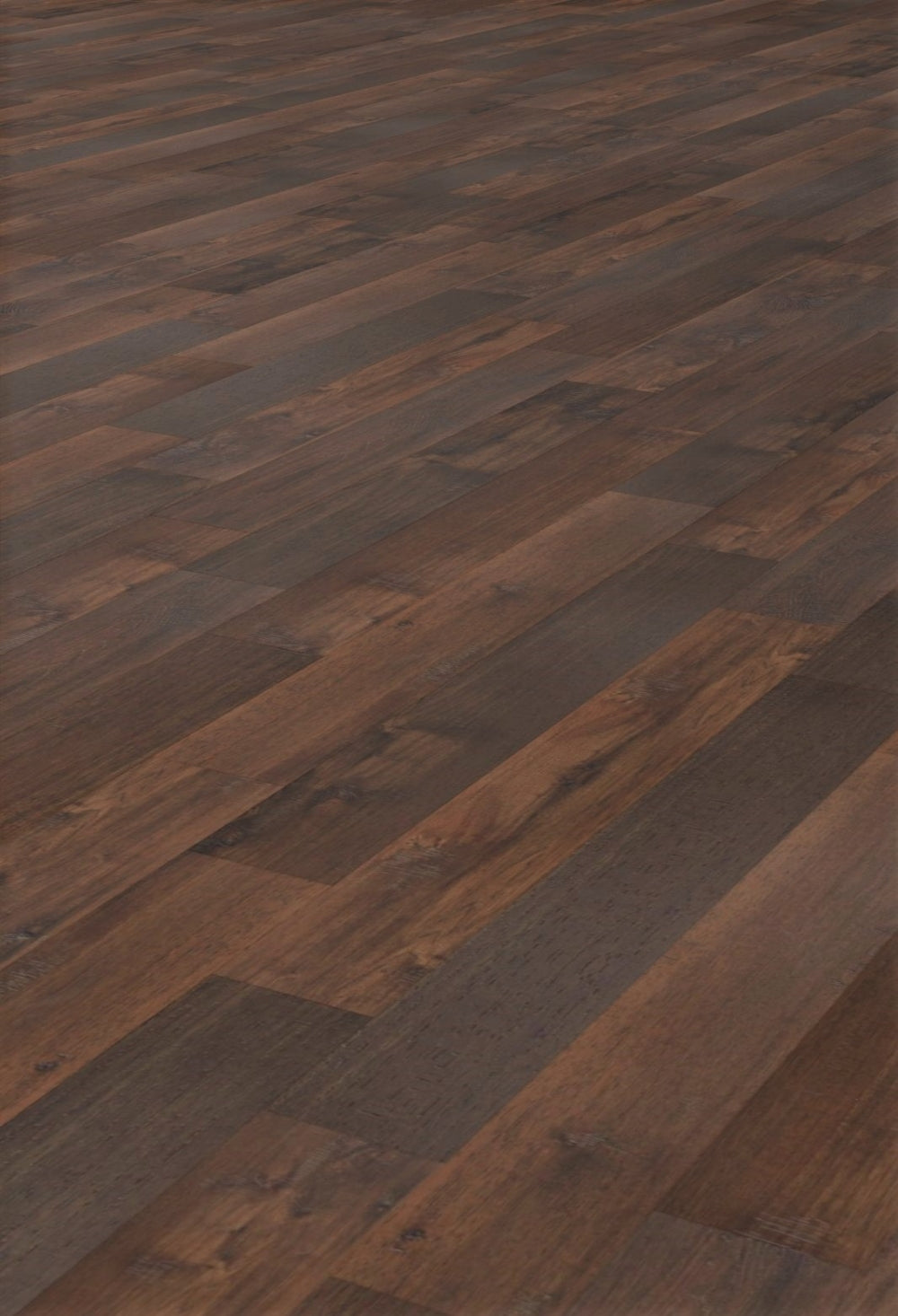 Eternity Sentinel Paramount XPE SPC: Rosette