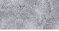 GT Armany Grey Porcelain 24x48 300066609